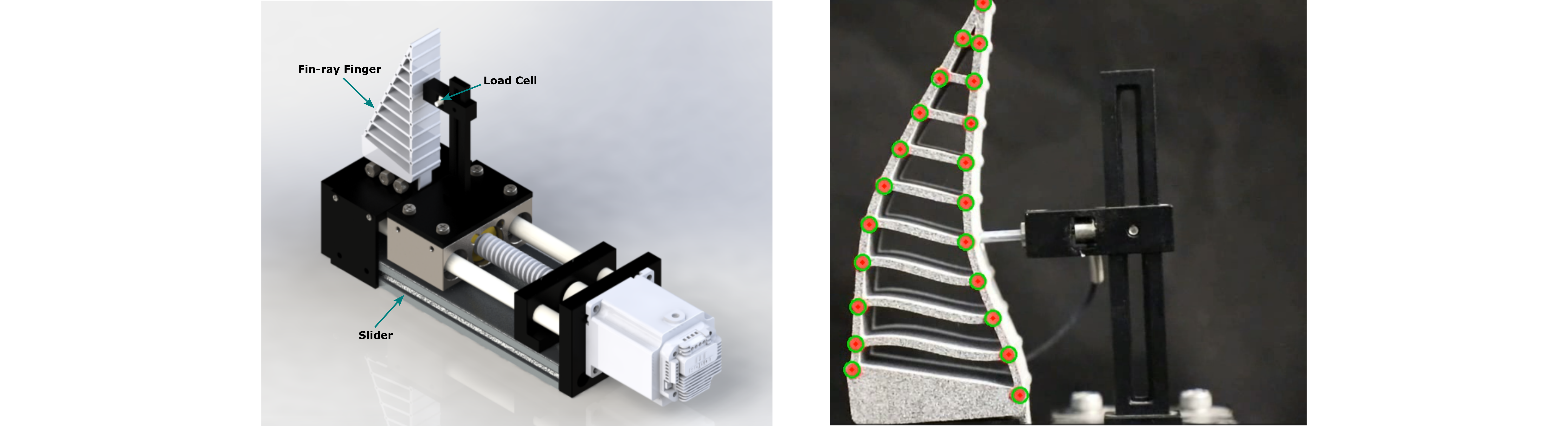 Experimental Validation